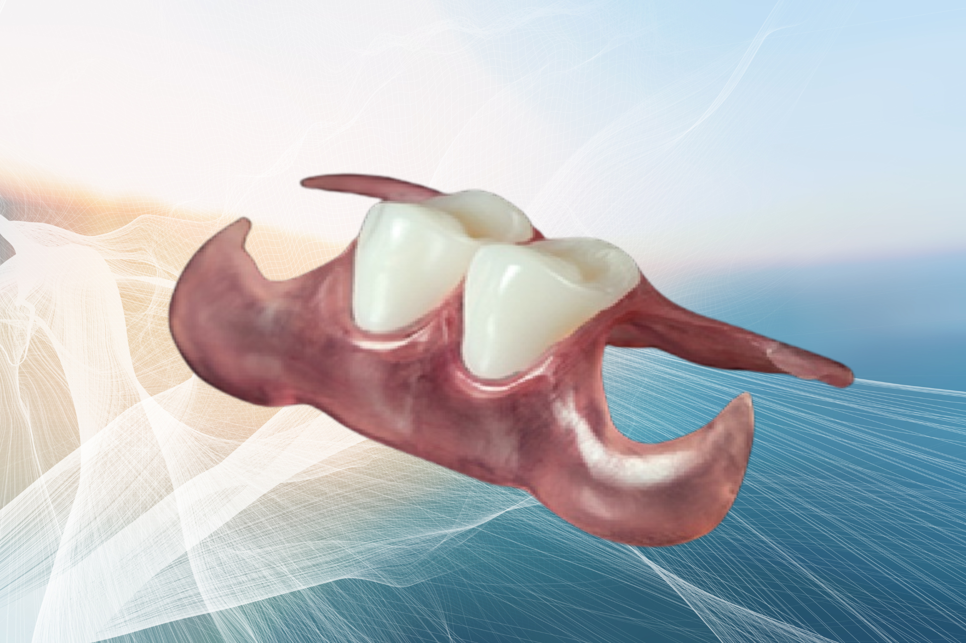 Prótesis Flex Anatómica 1